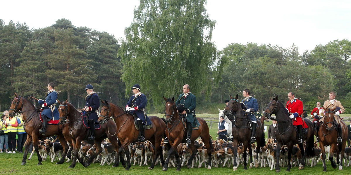 CPA 77 FORÊT de FONTAINEBLEAU - Les Mares du Plateau